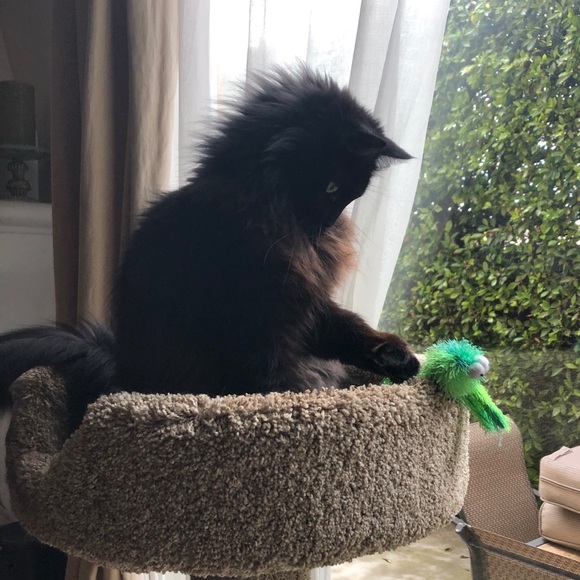 Welcome to Audshop🌟Poshmark Ambassador 🌟 - Picture 5 of 15